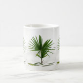 Frische Rhapis Excelsa (Damenpalme) Kaffeetasse (Mittel)