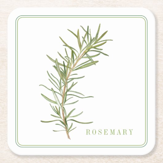 FRISCHE ROSEMARY Square Paper Untersetzer (+text) (Vorderseite)