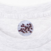Frische rote Kirschen Fotografie Etiketten (Befestigt)