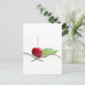 Frische rote Kirschen Gourmet Zauber Postkarte (Stehend Vorderseite)
