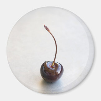 Frische rote Kirschfotografie Magnet