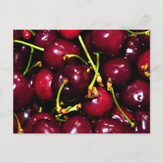 Frische saftige Kirschen mit Wassertropfen Postkarte (Vorderseite)