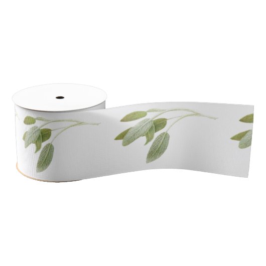 FRISCHE SAGE 3" breiter Grosgrain-Ribbon Ripsband (Spule)