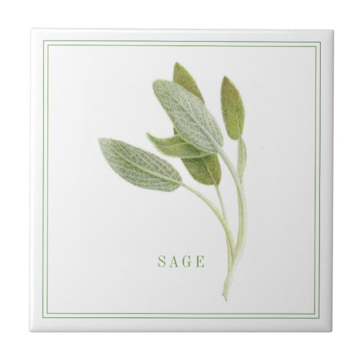 FRISCHE SAGE 4.25x4.25 Keramik Tile (+text) Fliese (Vorderseite)