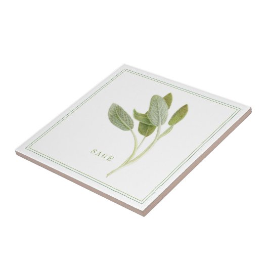 FRISCHE SAGE 4.25x4.25 Keramik Tile (+text) Fliese (Seite)