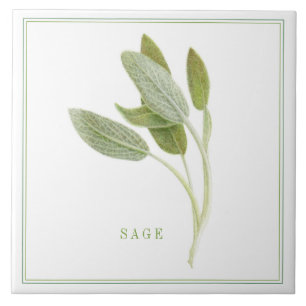 FRISCHE SAGE 6"x6" Keramik Tile (+text) Fliese