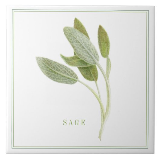 FRISCHE SAGE 6"x6" Keramik Tile (+text) Fliese (Vorderseite)