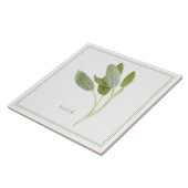 FRISCHE SAGE 6"x6" Keramik Tile (+text) Fliese (Seite)