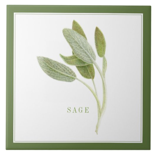 FRISCHE SAGE 6"x6" Keramik Tile (+text) Grün Fliese (Vorderseite)