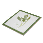 FRISCHE SAGE 6"x6" Keramik Tile (+text) Grün Fliese (Seite)