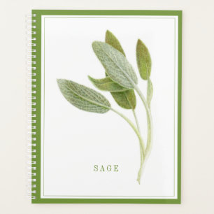 FRISCHE SAGE 8.5x11 Planer / Grün