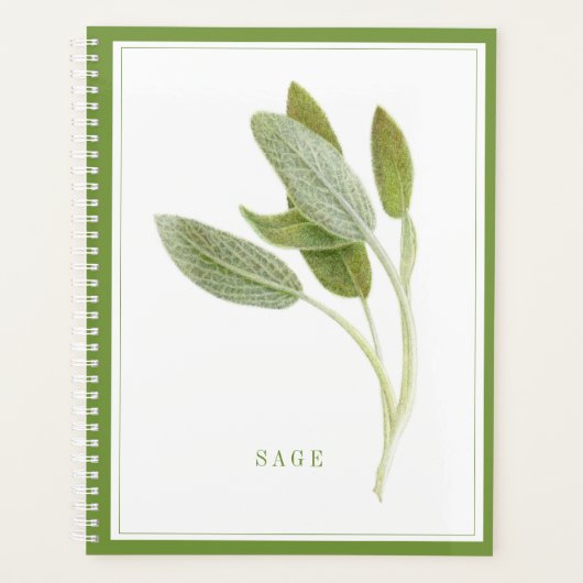 FRISCHE SAGE 8.5x11 Planer / Grün (Vorderseite)
