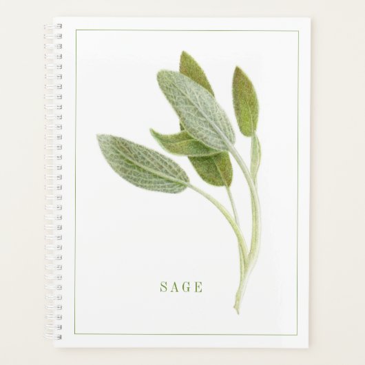 FRISCHE SAGE 8.5x11 Planer / Kalender (Vorderseite)