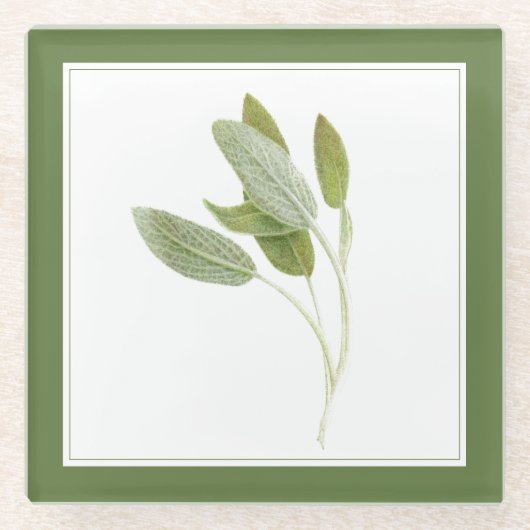 FRISCHE SAGE Glass Beverage Coaster (-text) Grün Glasuntersetzer (Vorderseite)