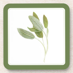 FRISCHE SAGE Hard Plastic Untersetzer (-text) Grün