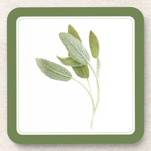 FRISCHE SAGE Hard Plastic Untersetzer (-text) Grün (Vorderseite)