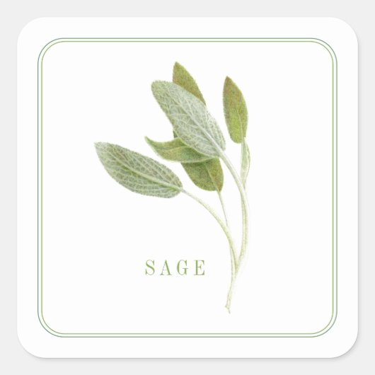 FRISCHE SAGE Kleine Aufkleber auf dem Platz (Vorderseite)