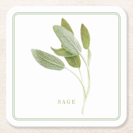 FRISCHE SAGE Square Paper Untersetzer (+text) (Vorderseite)