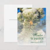 Frische Schnee auf Pine Needles Postkarte (Vorne/Hinten)