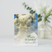 Frische Schnee auf Pine Needles Postkarte (Stehend Vorderseite)
