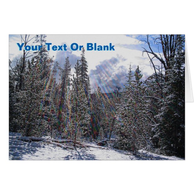 Frische Schnee auf schnellem Blitz (Vorderseite (Horizontal))