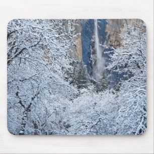 Frische Schneefälle unter den Bäumen von Bridalv Mousepad
