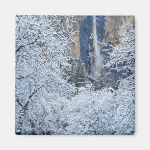 Frische Schneefälle unter den Bäumen von Bridalvei Magnet