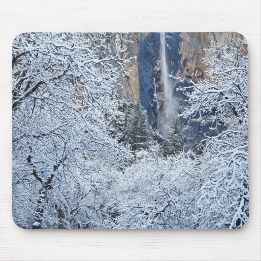Frische Schneefälle unter den Bäumen von Bridalvei Mousepad (Vorne)
