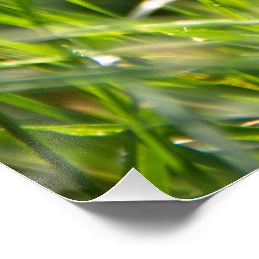Frische Sommer-Morgengras Poster (Ecke)