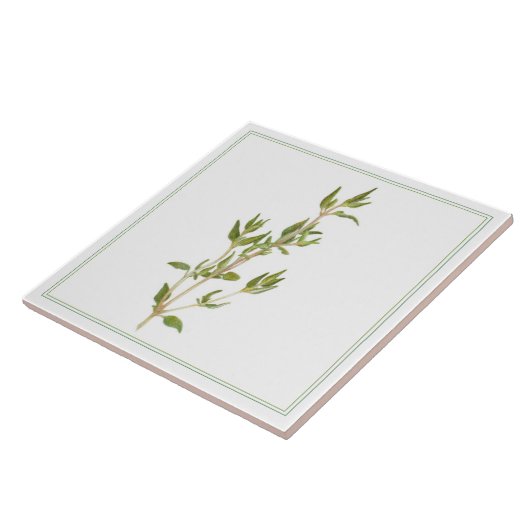 FRISCHE THYME 6x6-Keramik-Datei (-text) Fliese (Seite)