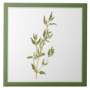 FRISCHE THYME 6x6-Keramik-Tile (-text) Grün Fliese
