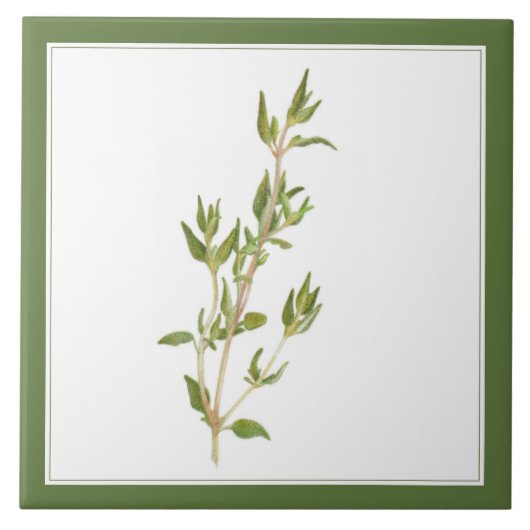 FRISCHE THYME 6x6-Keramik-Tile (-text) Grün Fliese (Vorderseite)