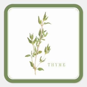 FRISCHE THYME Große Aufkleber - Grün