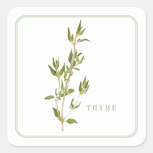 FRISCHE THYME Kleine Aufkleber (Vorderseite)