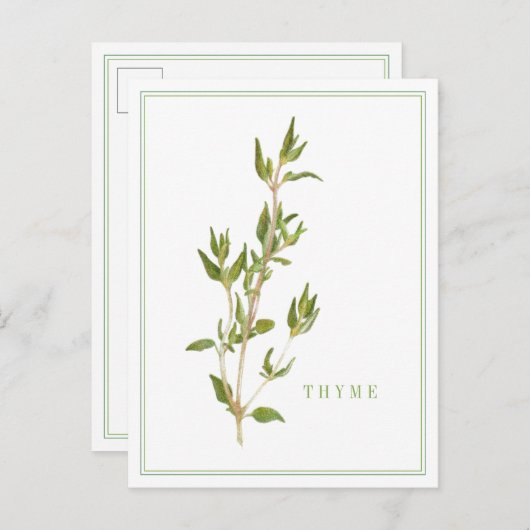 FRISCHE THYME Postkarte (Vorne/Hinten)