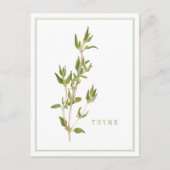 FRISCHE THYME Postkarte (Vorderseite)