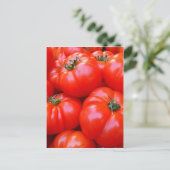 frische Tomaten Postkarte (Stehend Vorderseite)