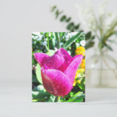 Frische Tulpen - Postkarte (Stehend Vorderseite)