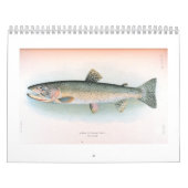 Frische und Salzwasserfisch-Kalender Kalender (Titelbild)