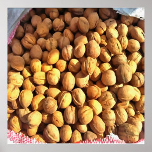 Frische Walnüsse Hyperrealistische Malerei Poster