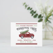 Frische Weihnachtsbäume anbauen Feiertagspostkarte (Stehend Vorderseite)