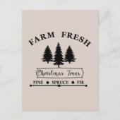 Frische Weihnachtsbäume anbauen Postkarte (Vorderseite)