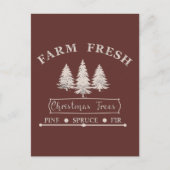 Frische Weihnachtsbäume anbauen Postkarte (Vorderseite)