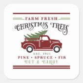Frische Weihnachtsbäume anbauen Quadratischer Aufkleber (Vorderseite)