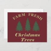 Frische Weihnachtsbäume Feiertagspostkarte (Vorne/Hinten)