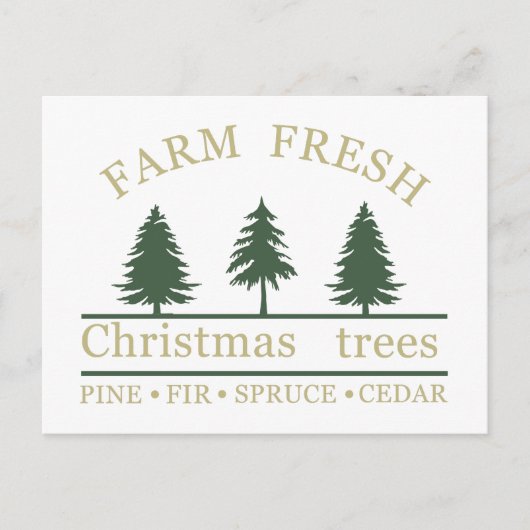 Frische Weihnachtsbäume Feiertagspostkarte (Vorderseite)