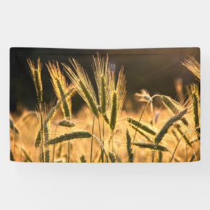 Frische Weizenfelder Banner