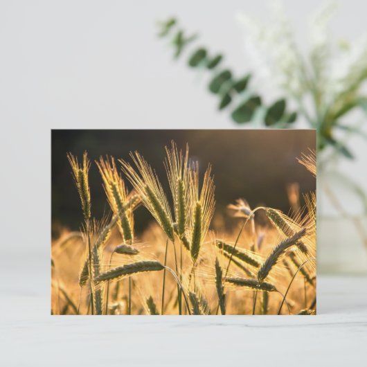 Frische Weizenfelder Dankeskarte (Stehend Vorderseite)