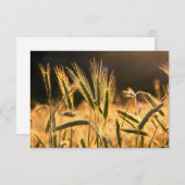 Frische Weizenfelder Dankeskarte (Vorne/Hinten)
