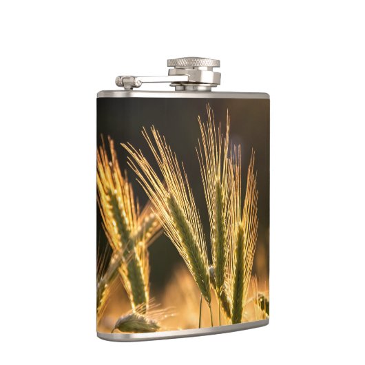 Frische Weizenfelder Flachmann (Rechts)